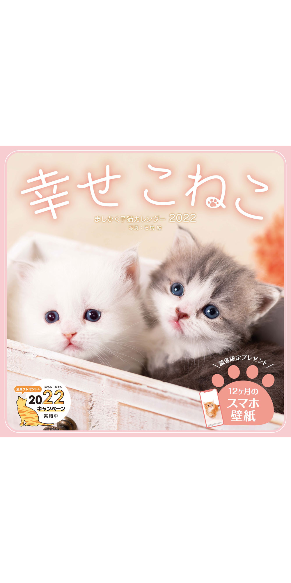 ましかく子猫カレンダー 幸せこねこ